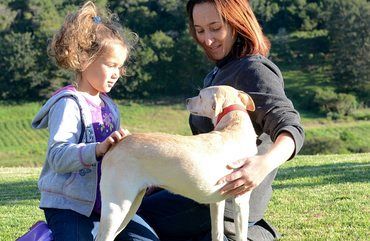 Animal Welfare Fundraiser
