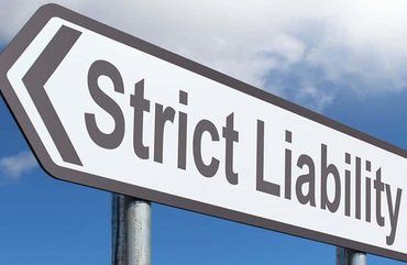 Dog and Owner – Strict Liability